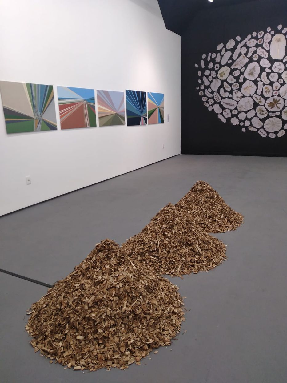 Imagen Noticia 4 de Más Noticias