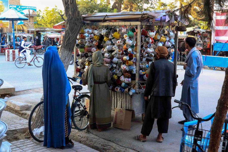 Imagen de Noticia 4 Más Noticias